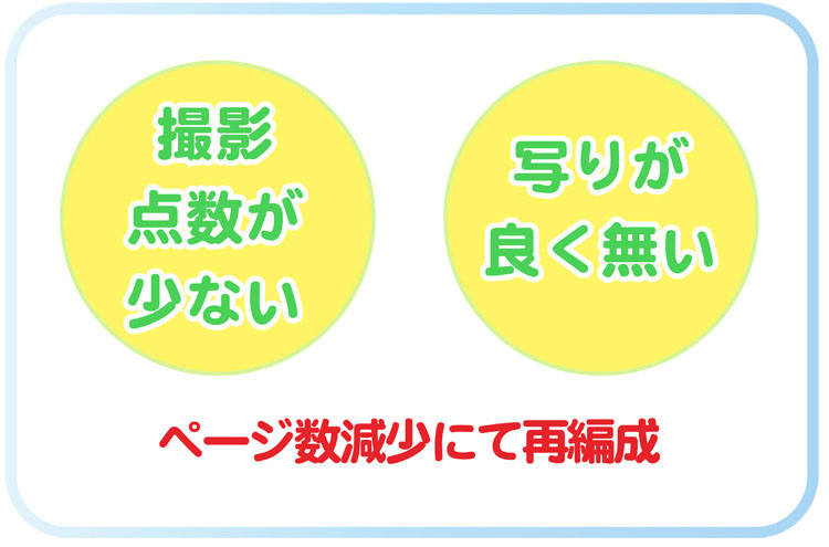 写真がないことによりページ数縮小