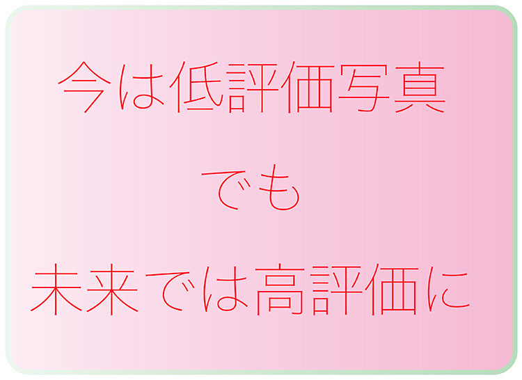 今は低評価でも未来では高評価に