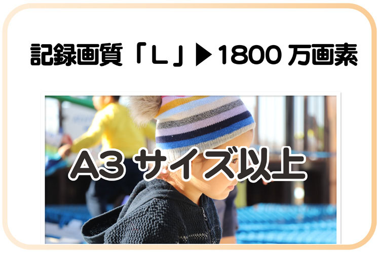 記録画質「L」での撮影直後のサイズはA3以上