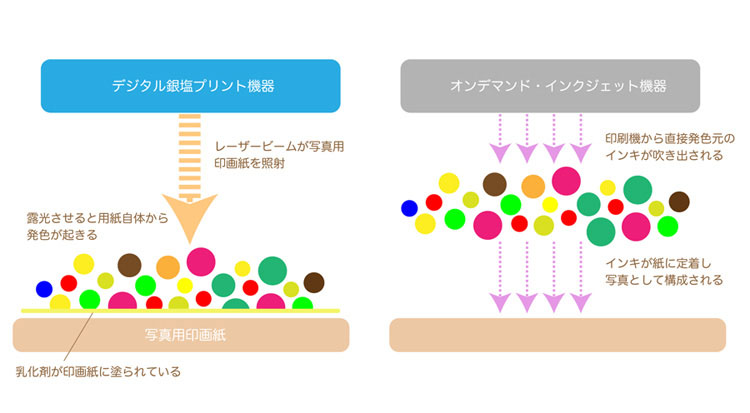 卒園アルバムに使用の「銀塩プリント」の仕組み